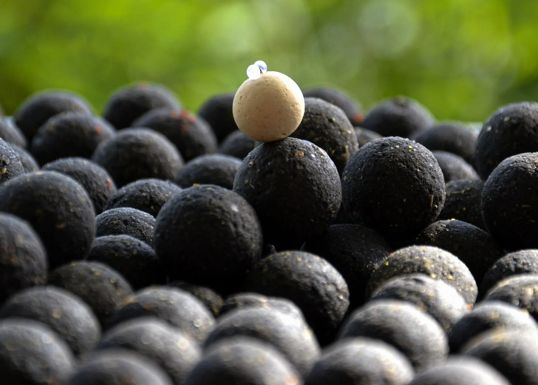 Euro Boilies 18mm/10kg Czosnek