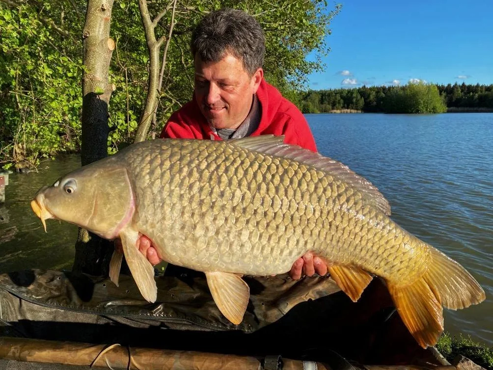 Winner 3 x Method Feeder kosz na przynętę z systemem szybkiej wymiany, akcesoria wędkarskie do przynęt karpiowych, dla profesjonalistów i wędkarzy hobbystów, duży, 20-50 g