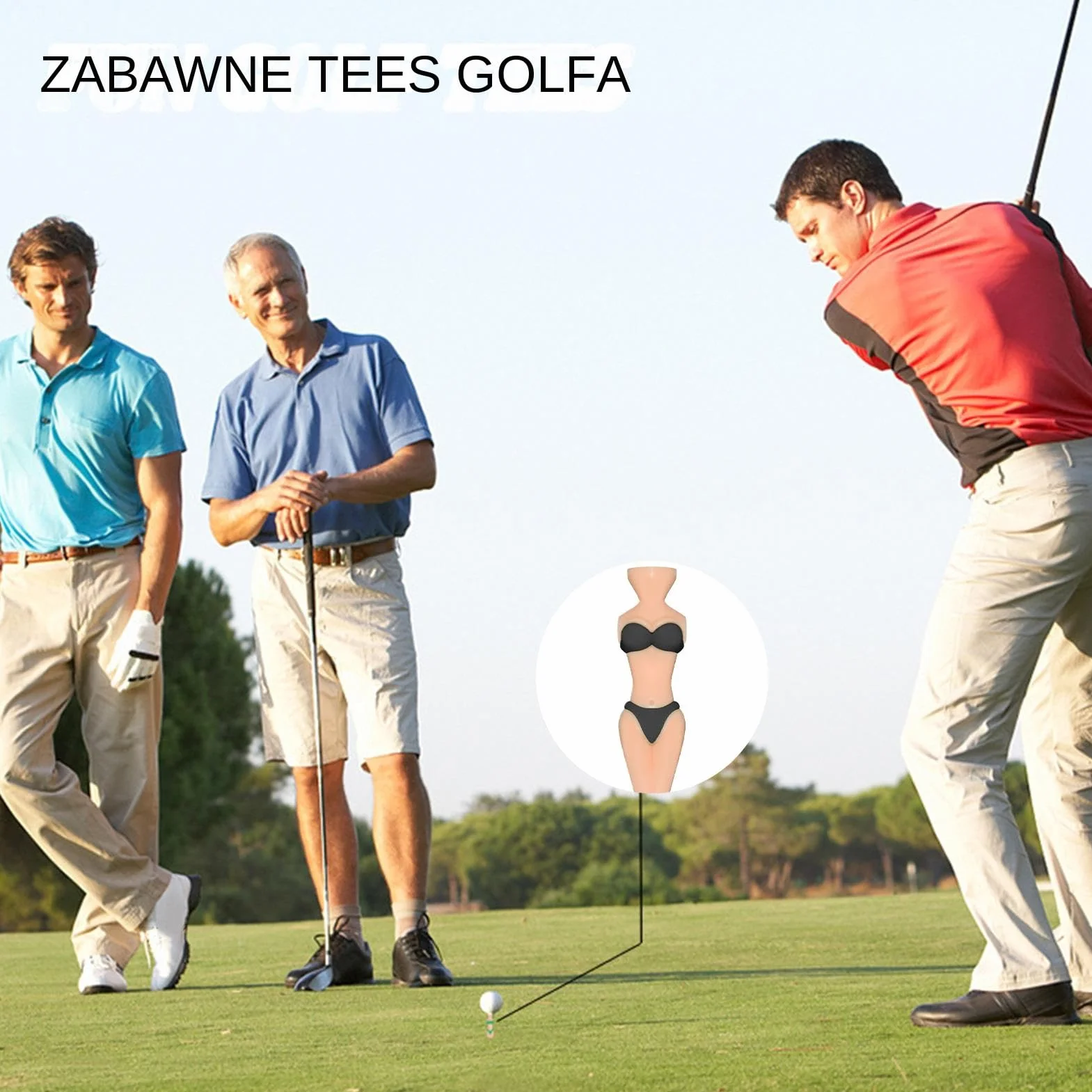 Zabawne Kołki Golfowe Dla Mężczyzn, Bezpiłkowe Kołki Treningowe Do Ćwiczeń, Przenośny Sprzęt Sportowy dla Mężczyzn i Kobiet Początkujących Golfistów na Driving Range i Pole Treningowe