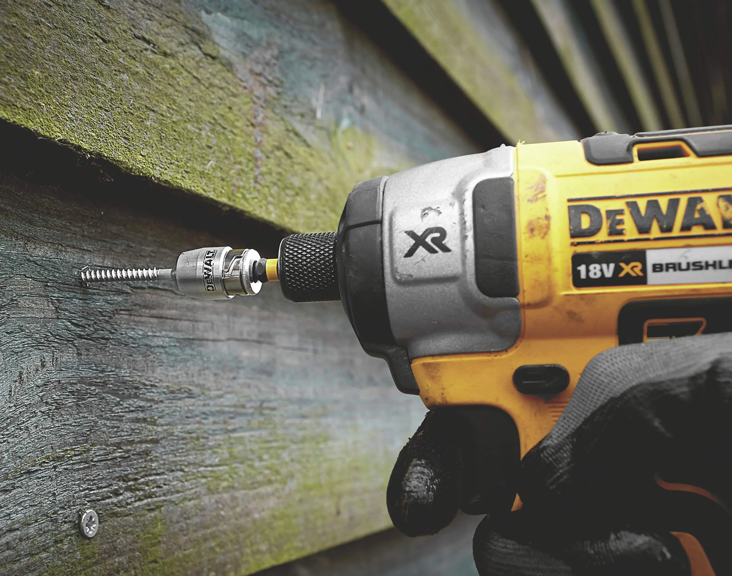 Dewalt Zestaw Bitów Czarny 12,2 x 7,4 x 1,8 cm 30 g