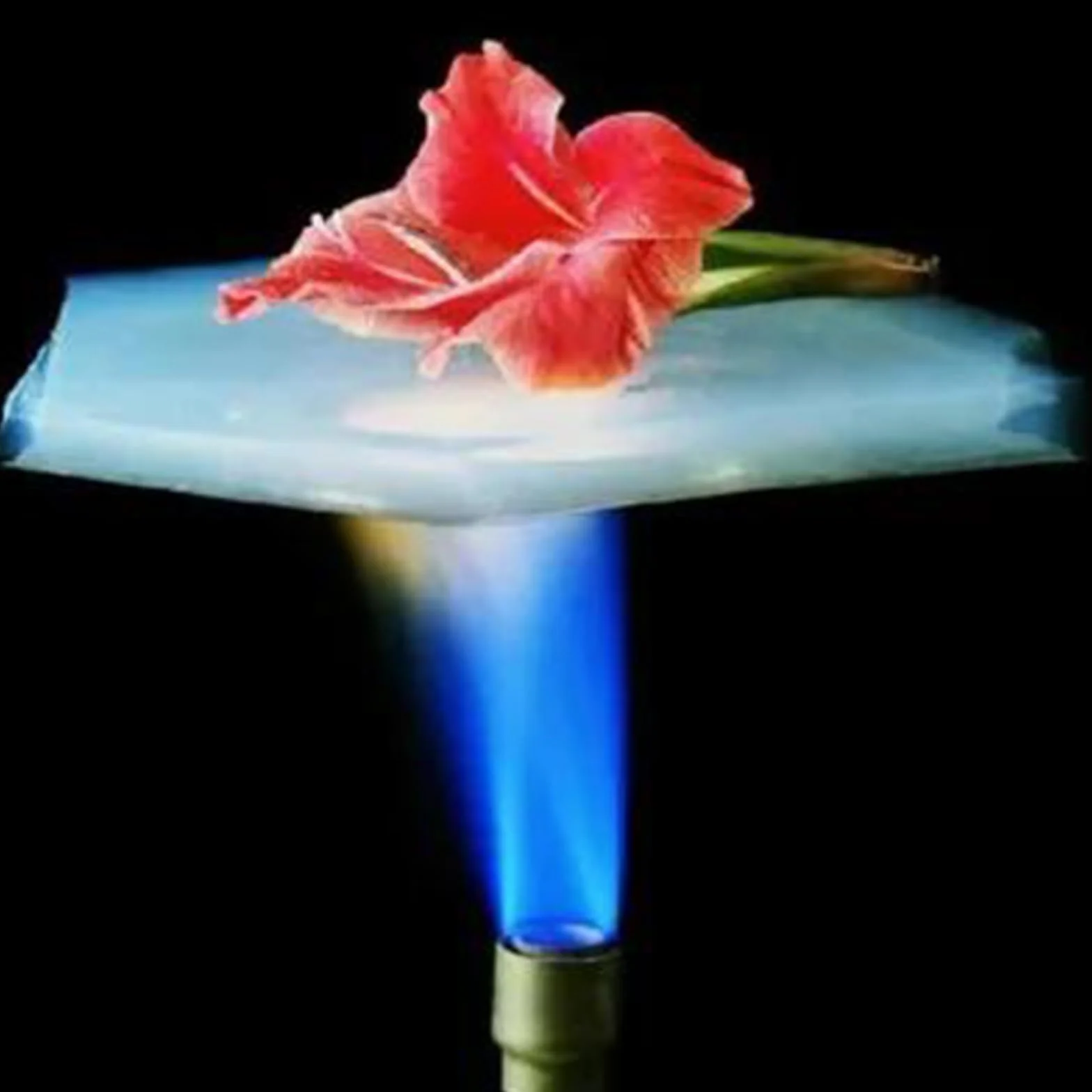 Aerogel Block - porowate stałe stałe granulki zmniejszające palność hydrofobowe do edukacji dzieci i prezenty dla nauczycieli (rozmiar cząstek 10-40 mm, 50 g)