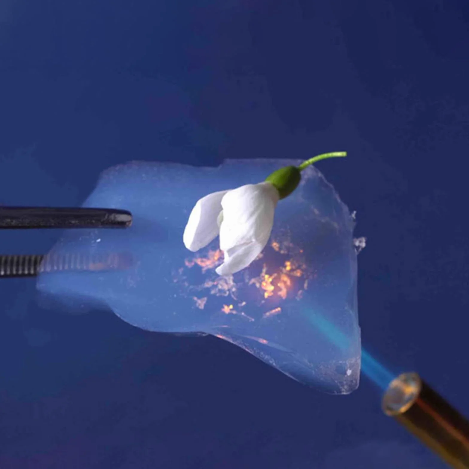 Aerogel Block - porowate stałe stałe granulki zmniejszające palność hydrofobowe do edukacji dzieci i prezenty dla nauczycieli (rozmiar cząstek 10-40 mm, 50 g)