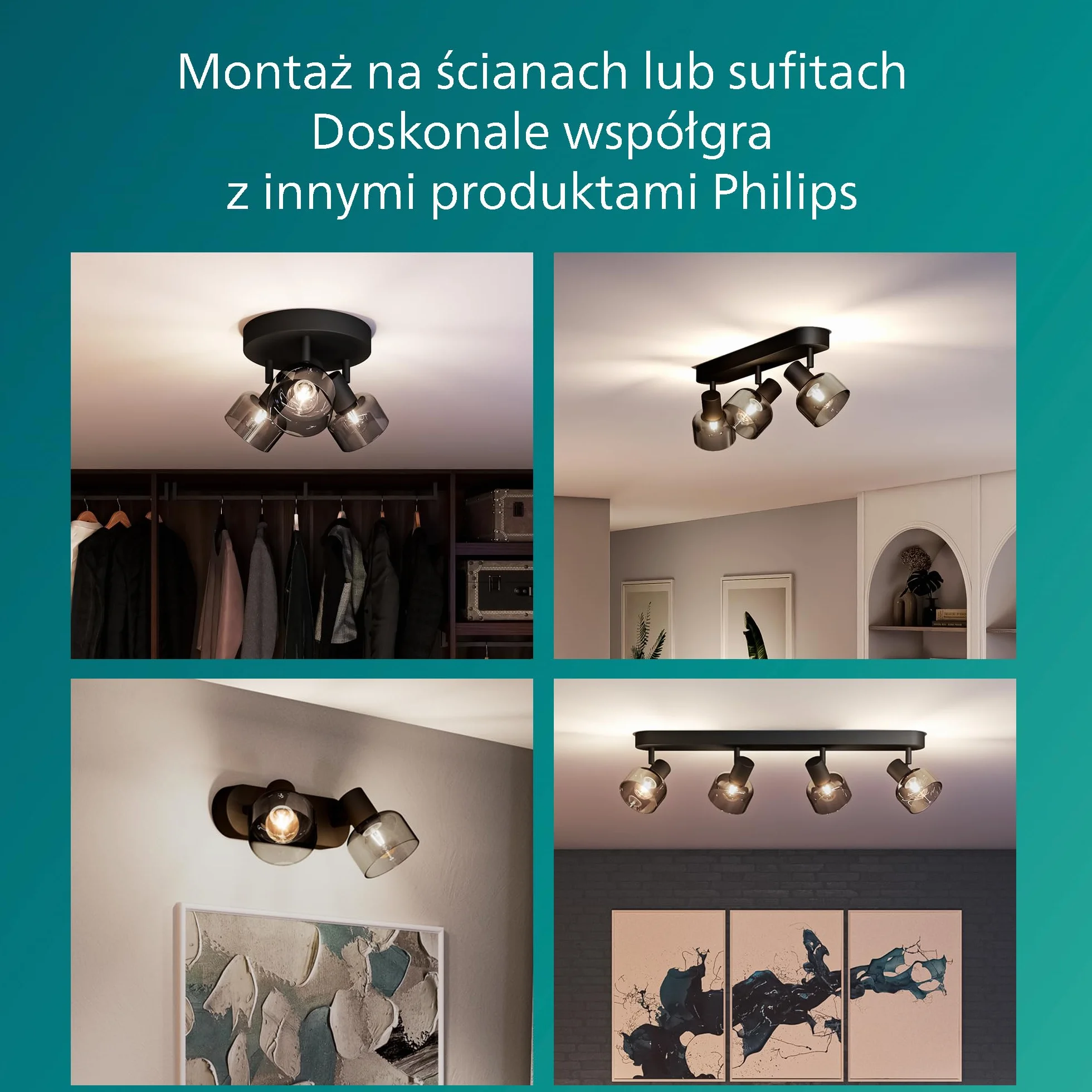 Philips Sleet Pojedynczy Reflektor Punktowy Czarny IP20 E14
