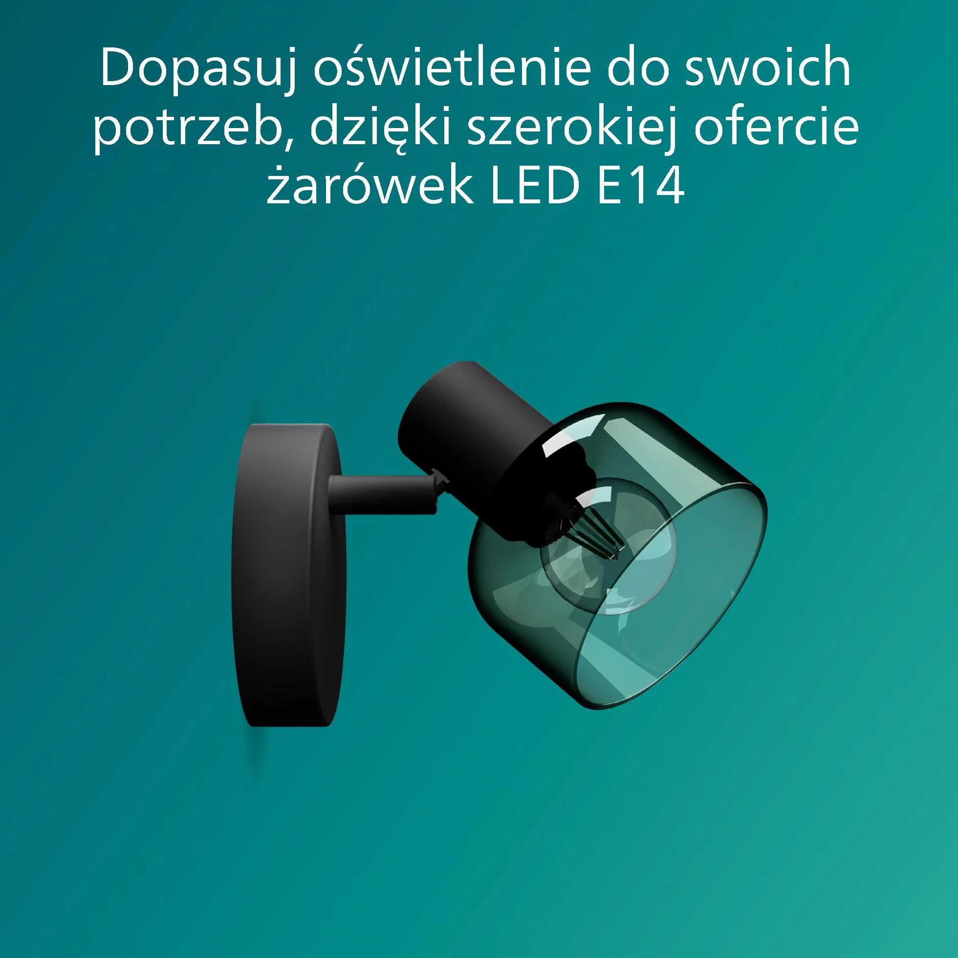 Philips Sleet Pojedynczy Reflektor Punktowy Czarny IP20 E14