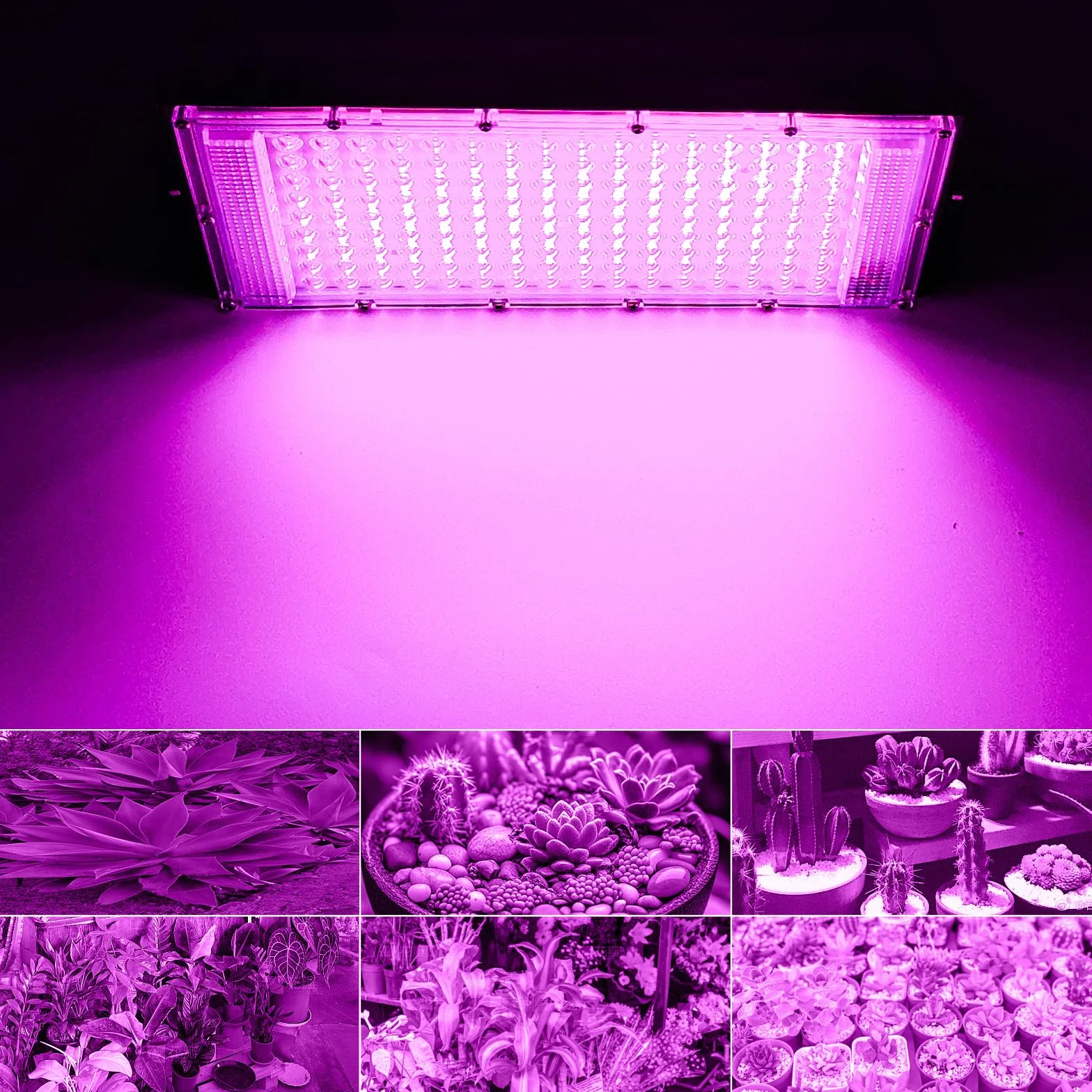 Lampa do uprawy roślin LED 144 diody 30 W pełne spektrum UV 2 sztuki