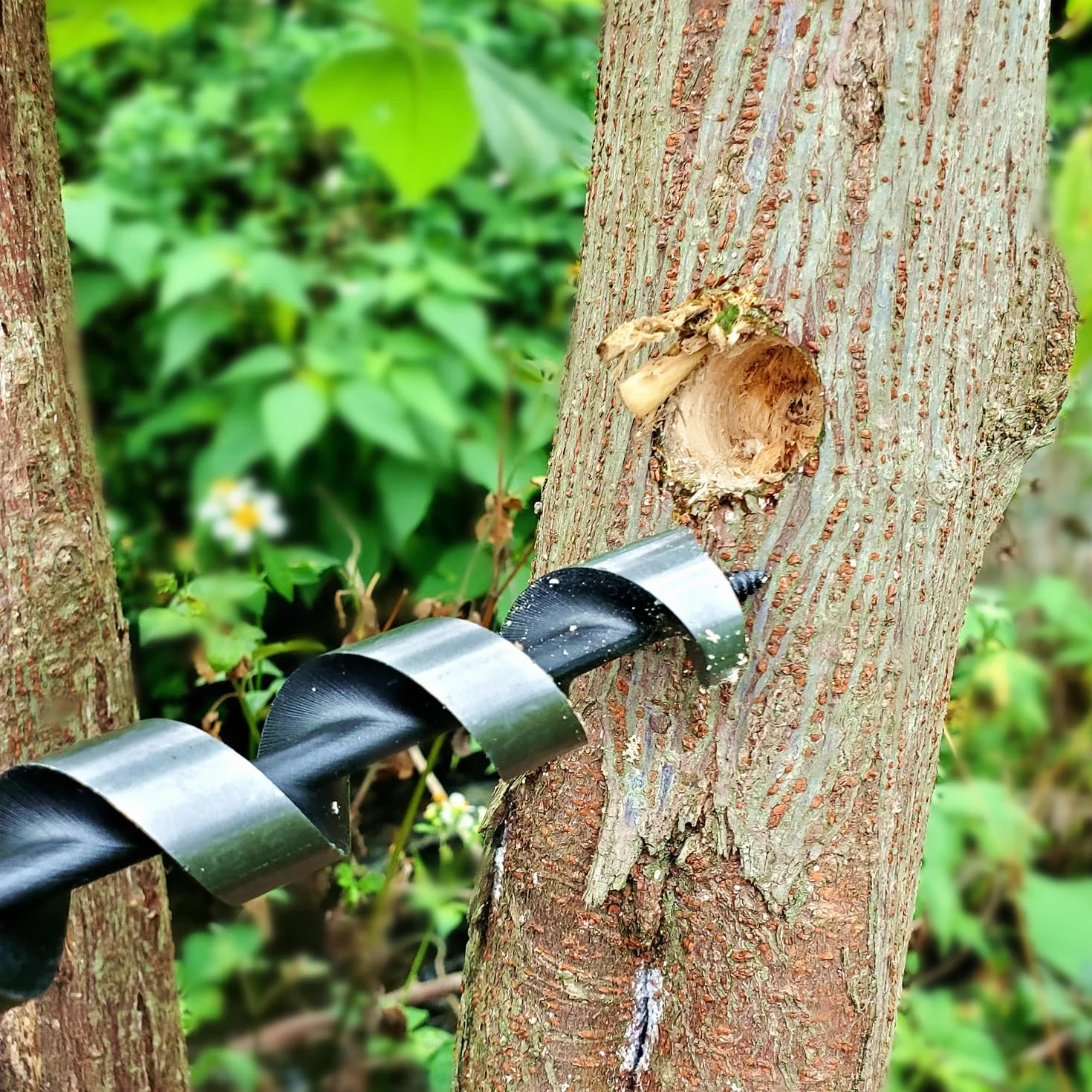 Przedłużony klucz ślimakowy ręczny Scotch Eye narzędzie survivalowe bushcraft na kemping