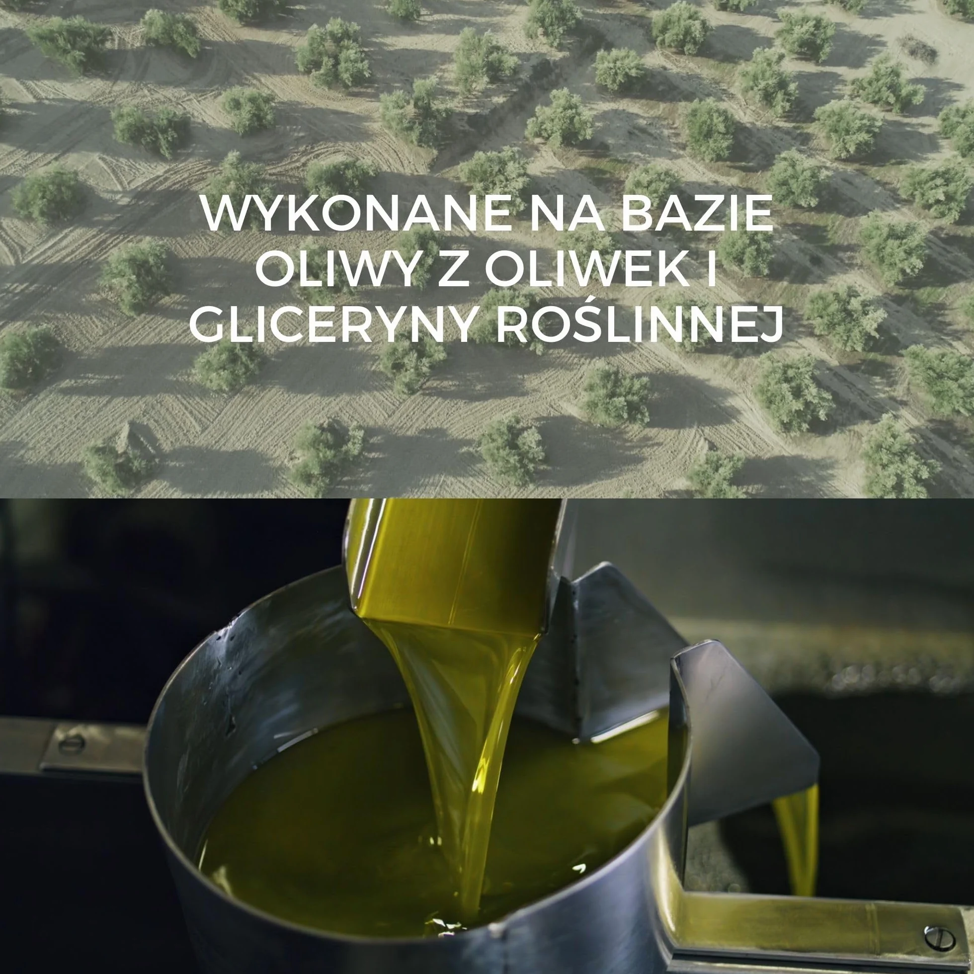 Mydło Organiczne Castile 2L | W 100% Naturalne z Oliwy z Oliwek | Wielofunkcyjne: Ciało, Włosy, Dom | Bez Siarczanów i Perfum | Nietestowane na Zwierzętach, Wegańskie