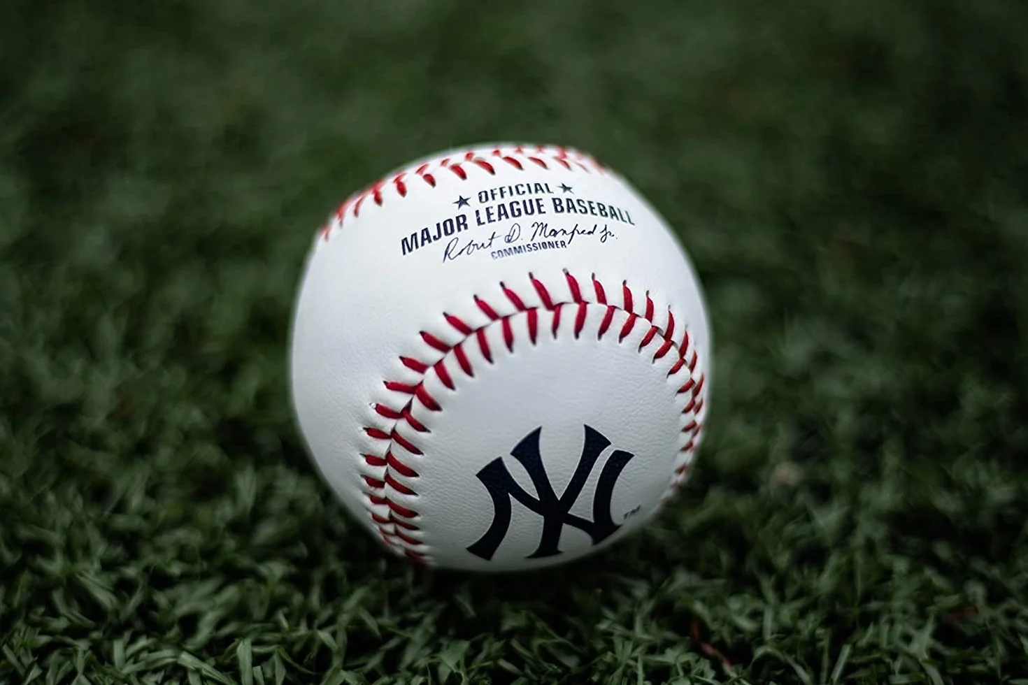 Rawlings MLB New York Yankees Team Logo Baseball, biały, 1