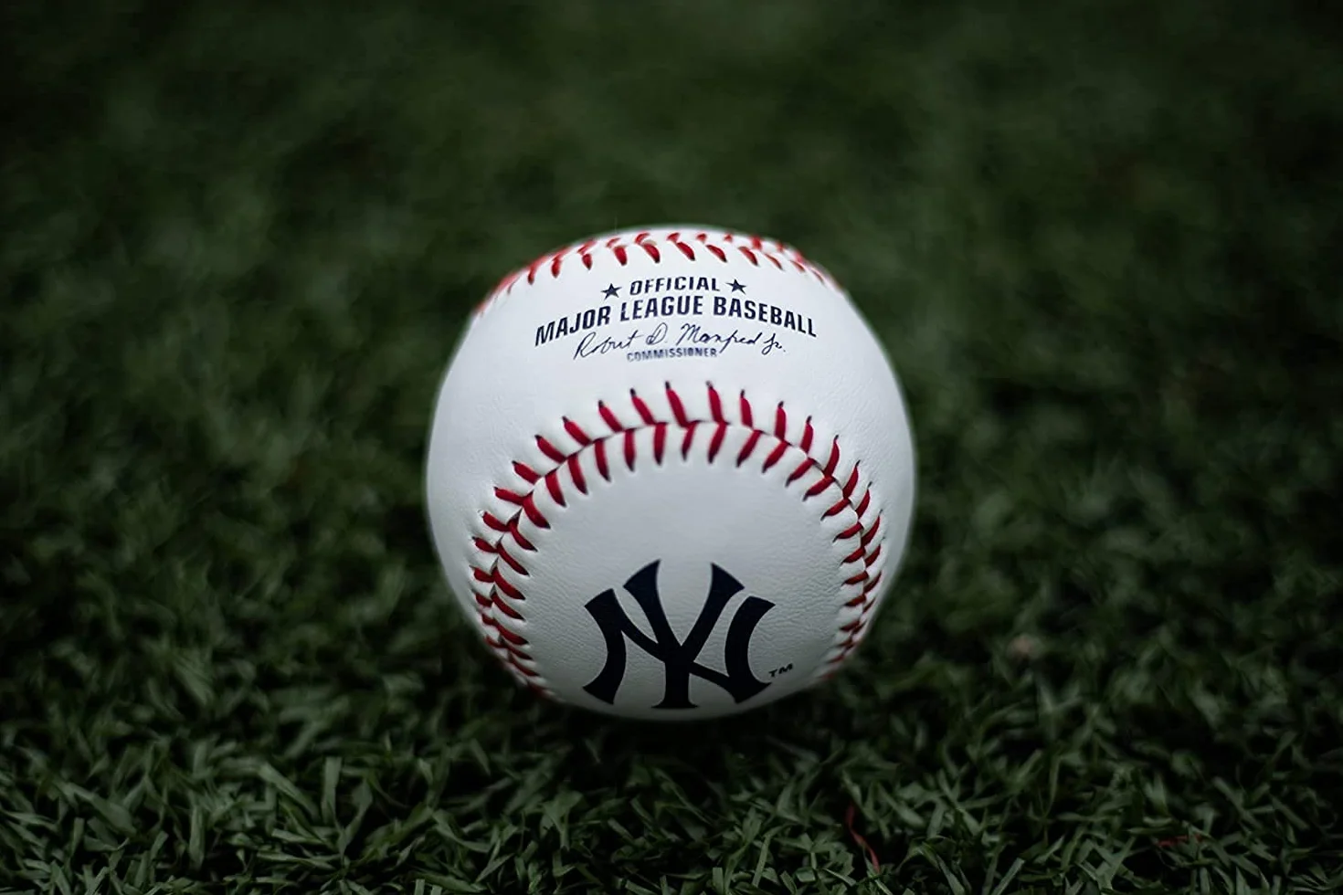 Rawlings MLB New York Yankees Team Logo Baseball, biały, 1