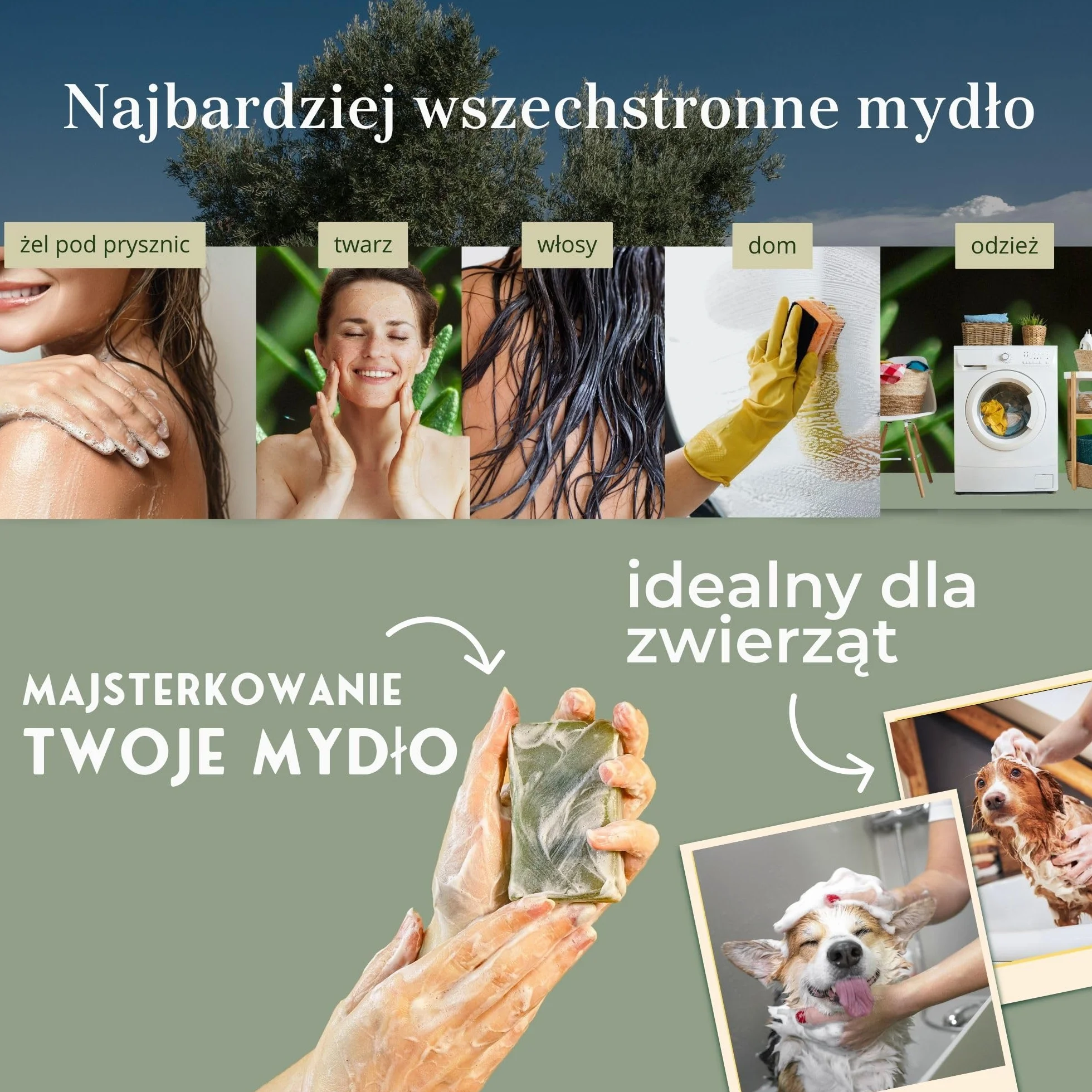 Mydło Organiczne Castile 2L | W 100% Naturalne z Oliwy z Oliwek | Wielofunkcyjne: Ciało, Włosy, Dom | Bez Siarczanów i Perfum | Nietestowane na Zwierzętach, Wegańskie