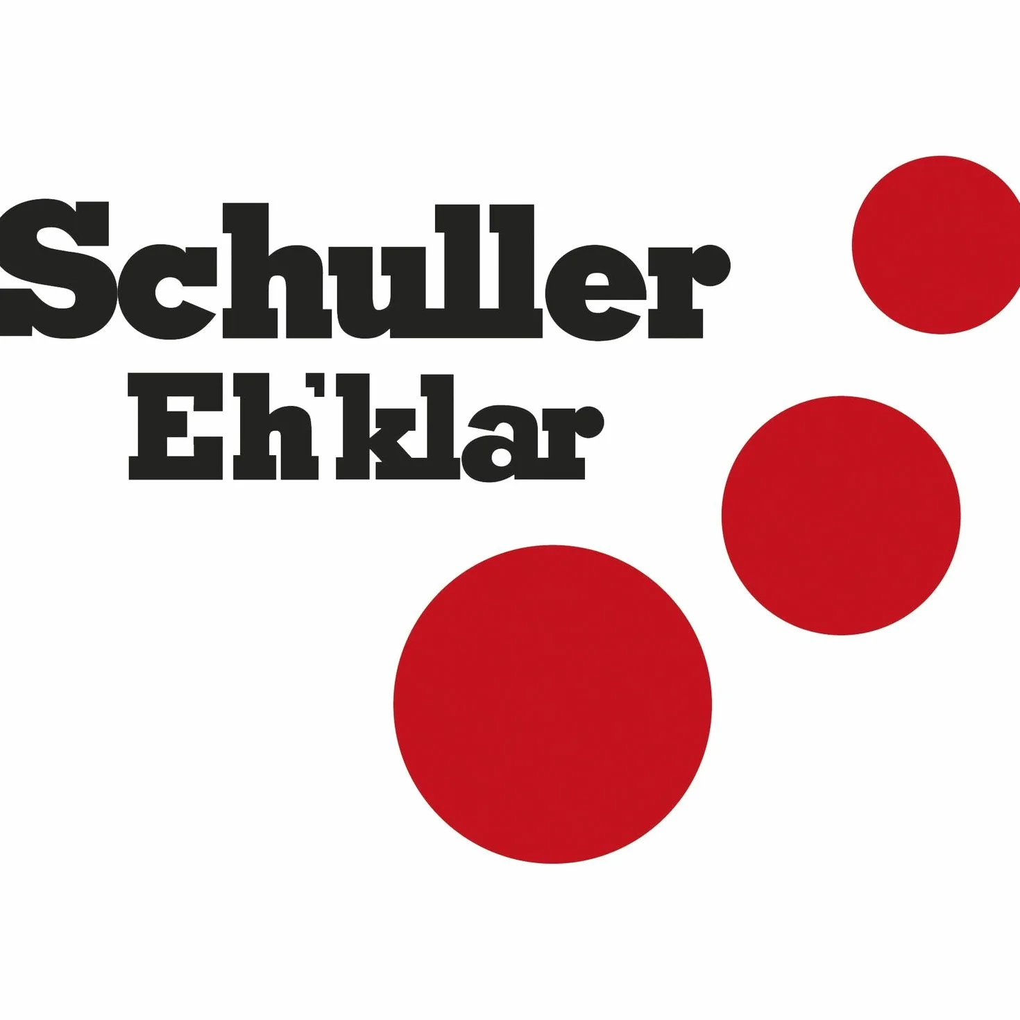 SCHULLER SC40550 wiadro z farbą Nimba pudełko z tworzywa sztucznego z uchwytem, pojemność 8 litrów, różne kolory