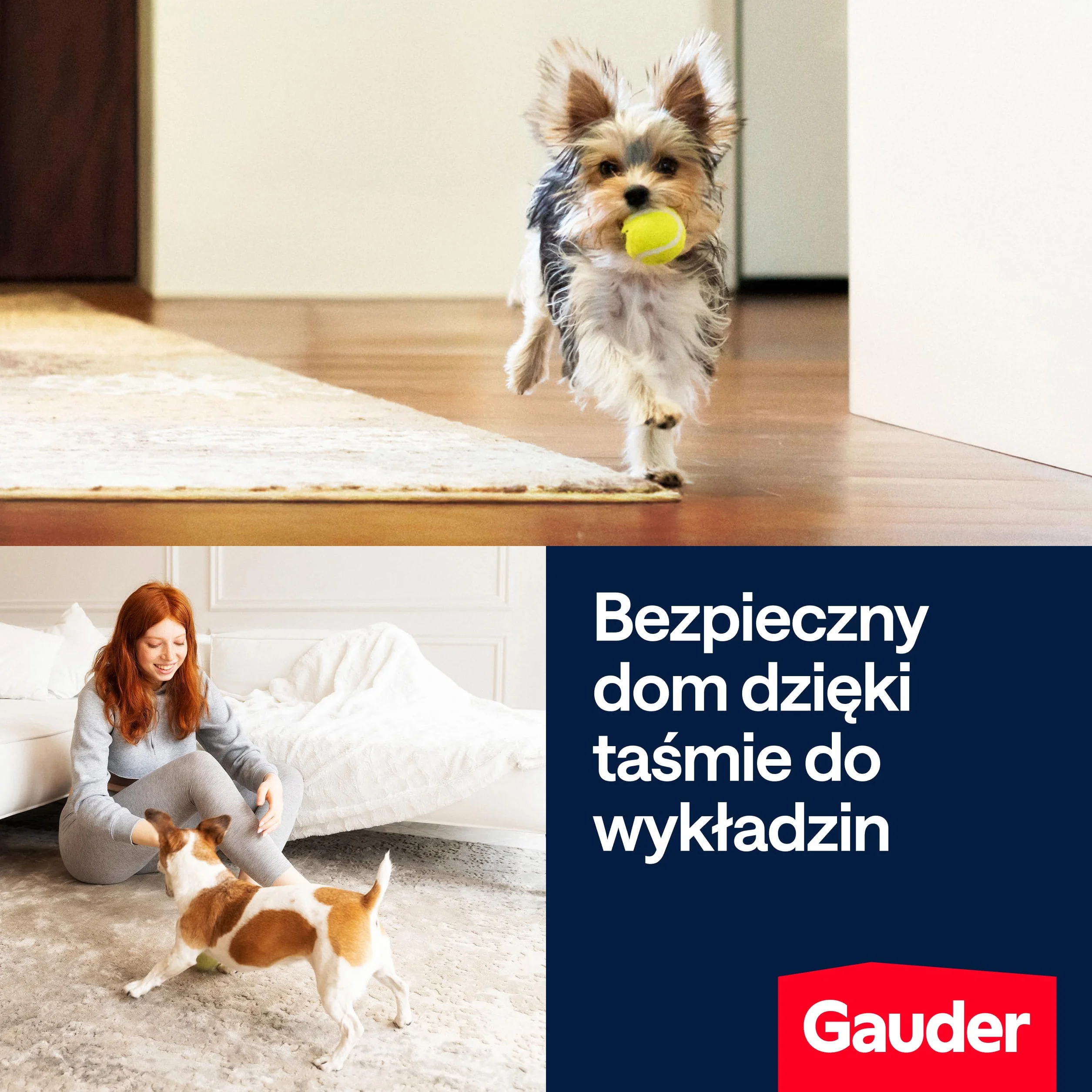 GAUDER Taśma do dywanów dwustronna ekstra mocna 10 m x 48 mm Klej do wykładzin i schodów