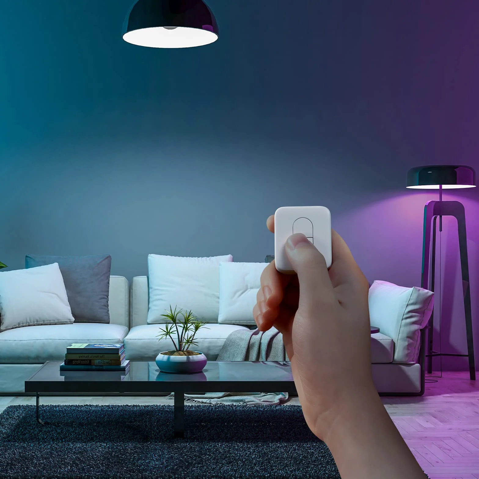 SwitchBot Pilot zdalnego sterowania z jednym przyciskiem - kompatybilny z SwitchBot Smart Curtain Switch