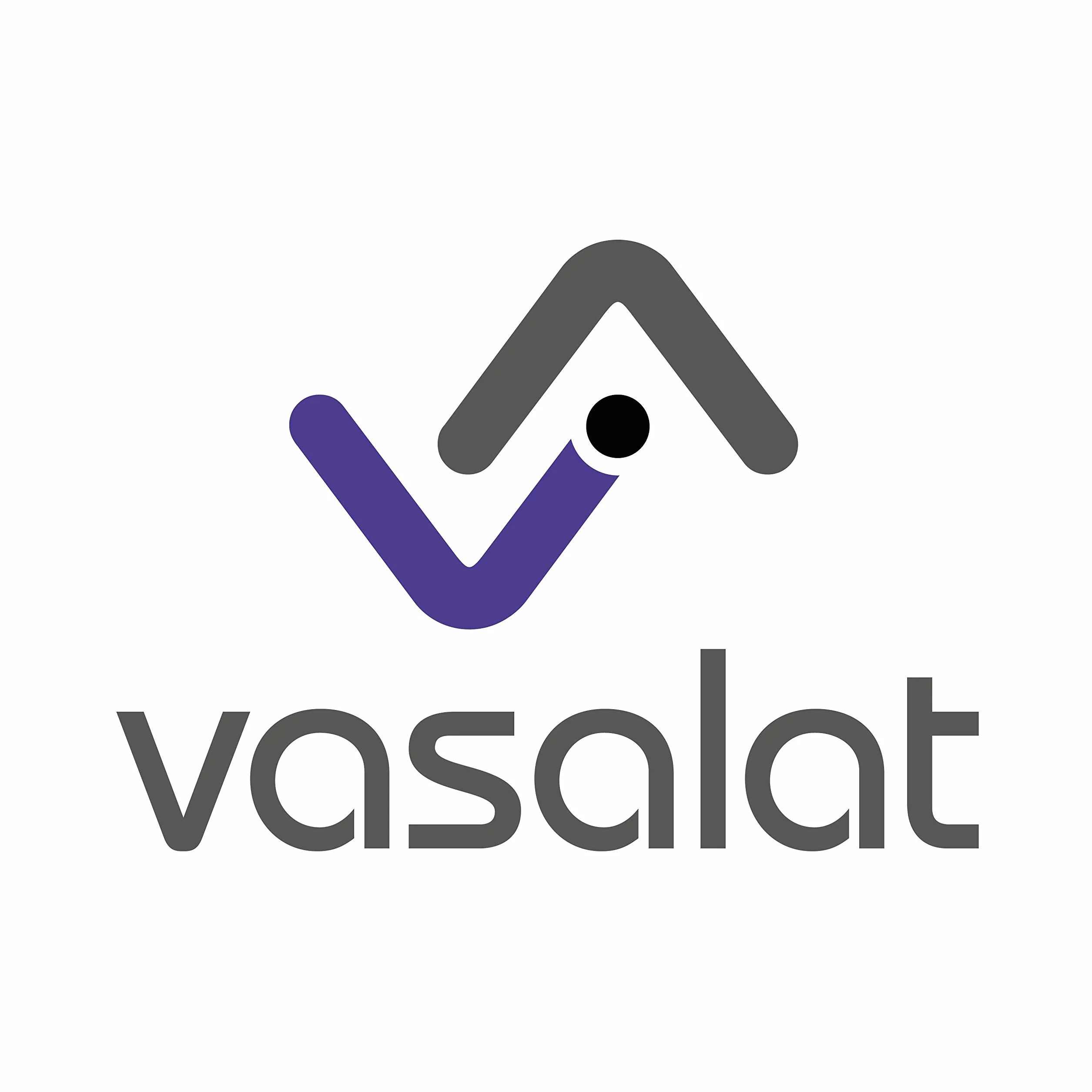 Vasalat ES-BB DM50 VZ SB1 zamek wpuszczany, stal ocynkowana