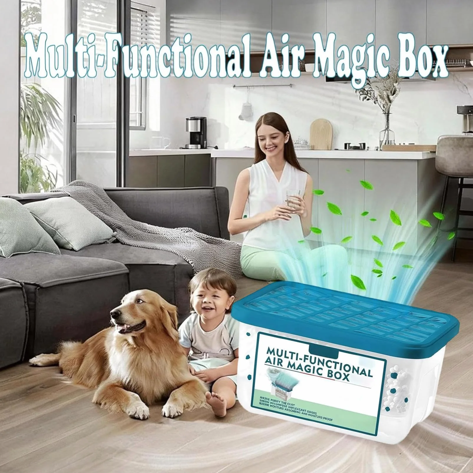 Magiczne pudełko do usuwania pyłu oczyszczacz powietrza do pomieszczeń formuła roślinna