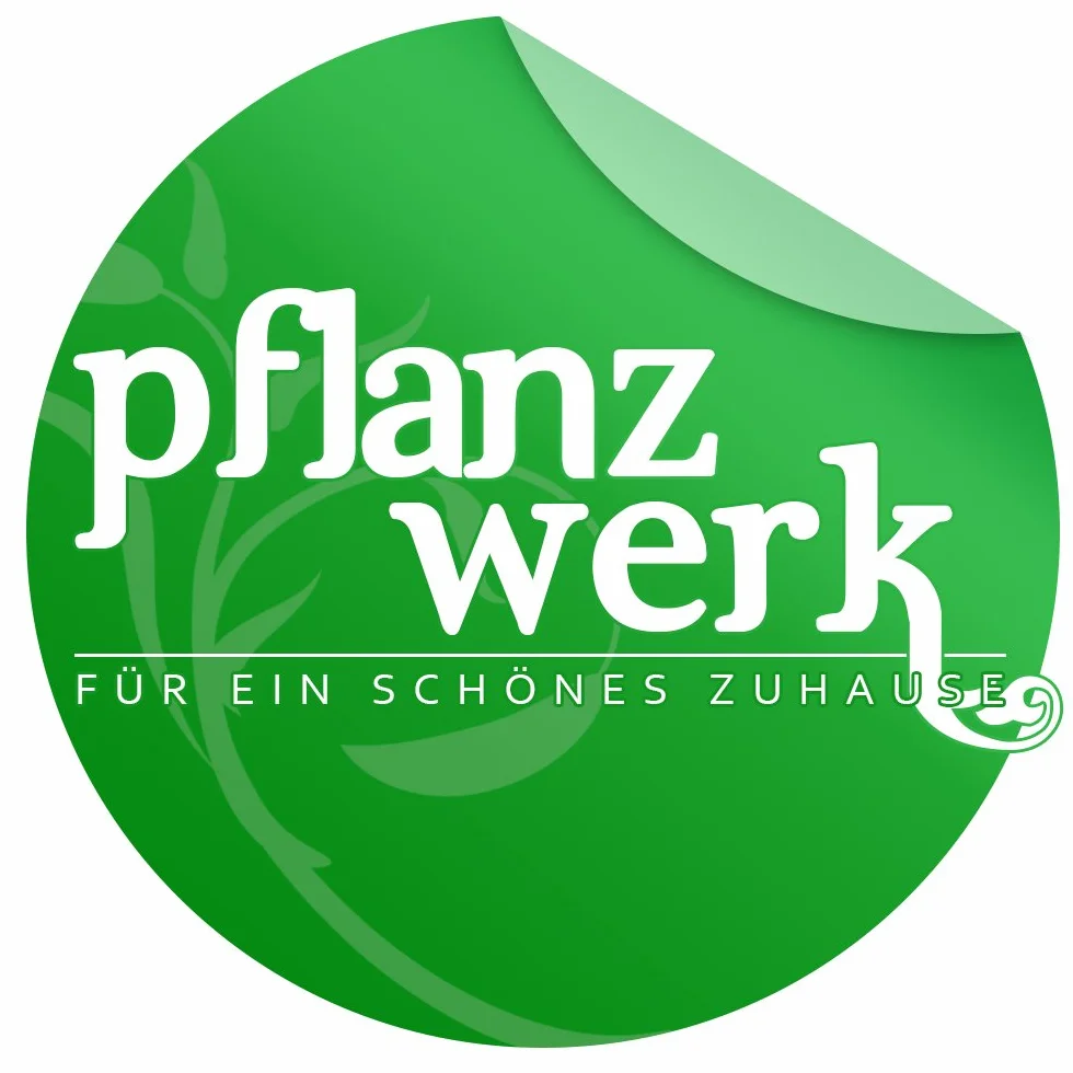 Pflanzwerk olej lniany glazura do drewna 1 litr + gratis pędzel