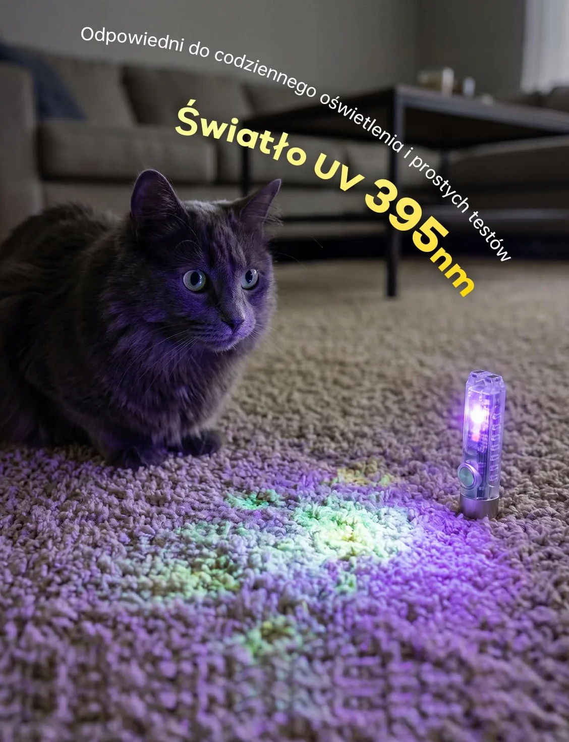 Jeebel Mini Latarka LED 400 Lumenów USB Ładowania, EDC Magnetyczna IP65, Boczne Światło UV/Biały/Czerwony/Niebieski