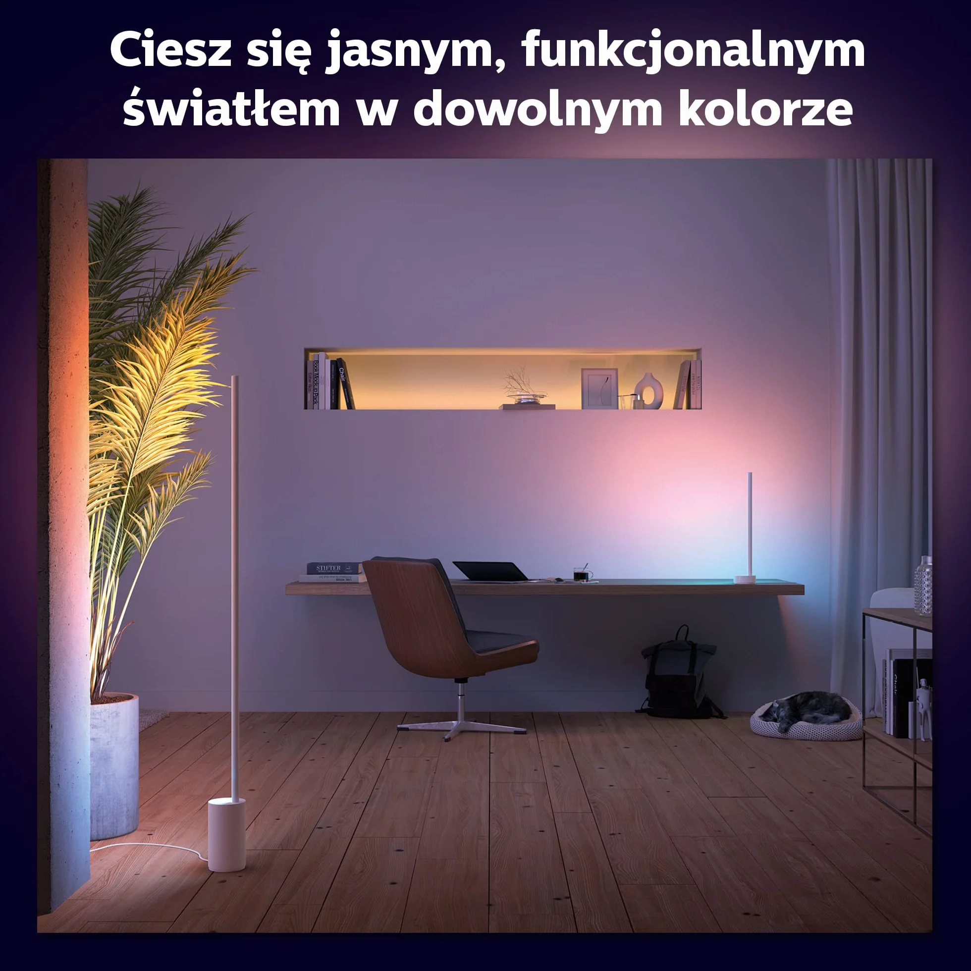 Philips Hue Lampa Podłogowa Signe Gradient Biała, 16 mln Kolorów, Ściemnianie, Smart LED