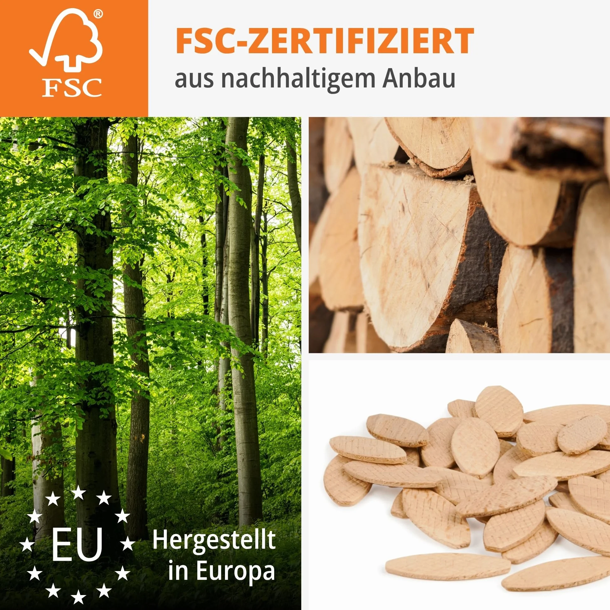 WFix Asortyment kołków płaskich lite drewno bukowe FSC do rowków 4 mm