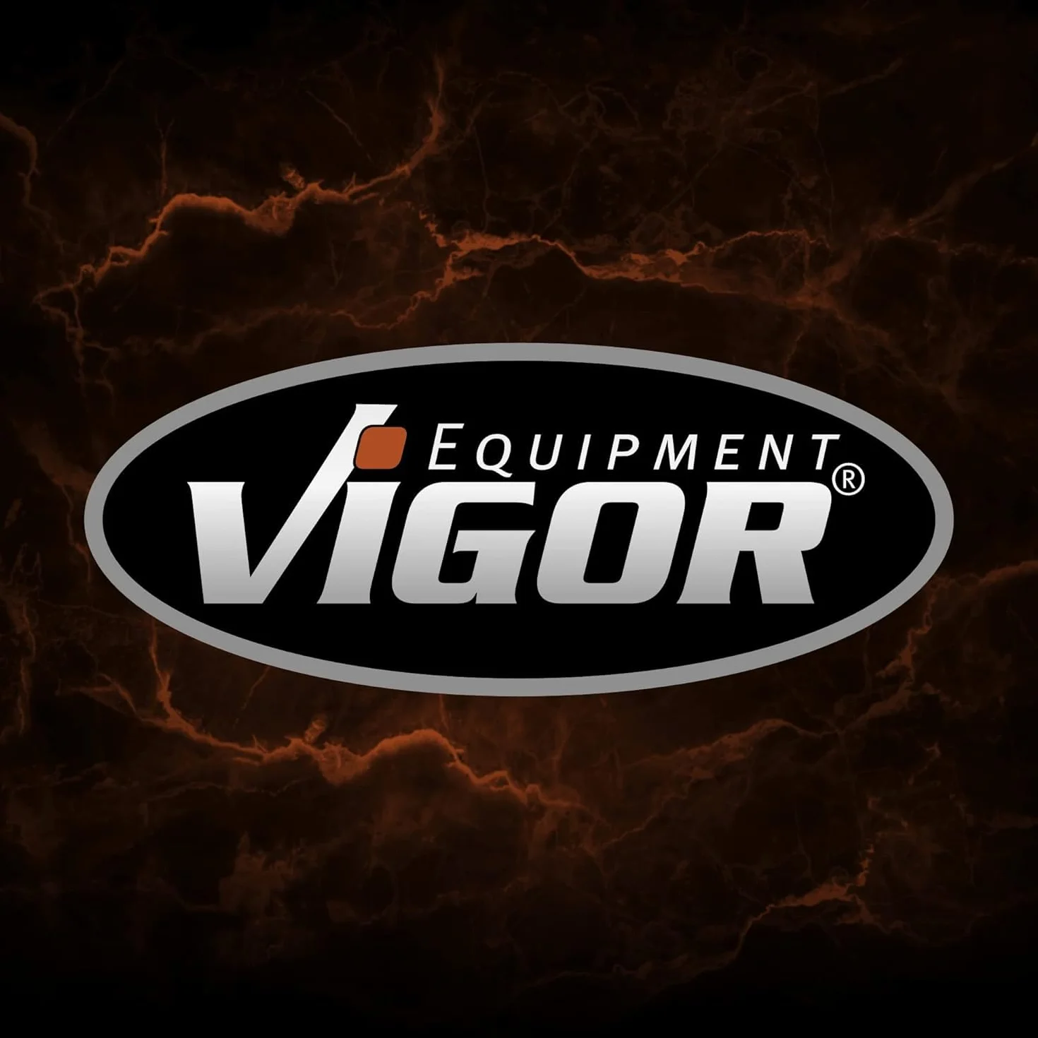 ViGOR V1764 Magnetyczny Podnośnik Małych Części 800g