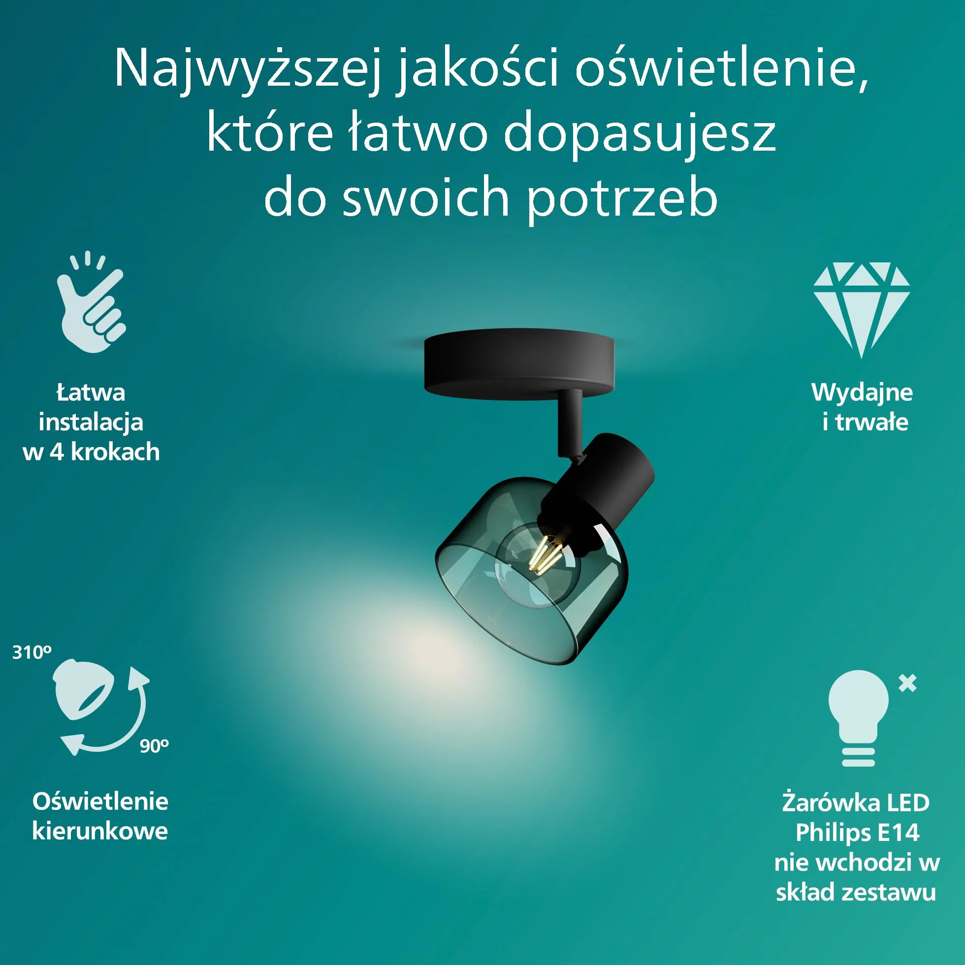 Philips Sleet Pojedynczy Reflektor Punktowy Czarny IP20 E14