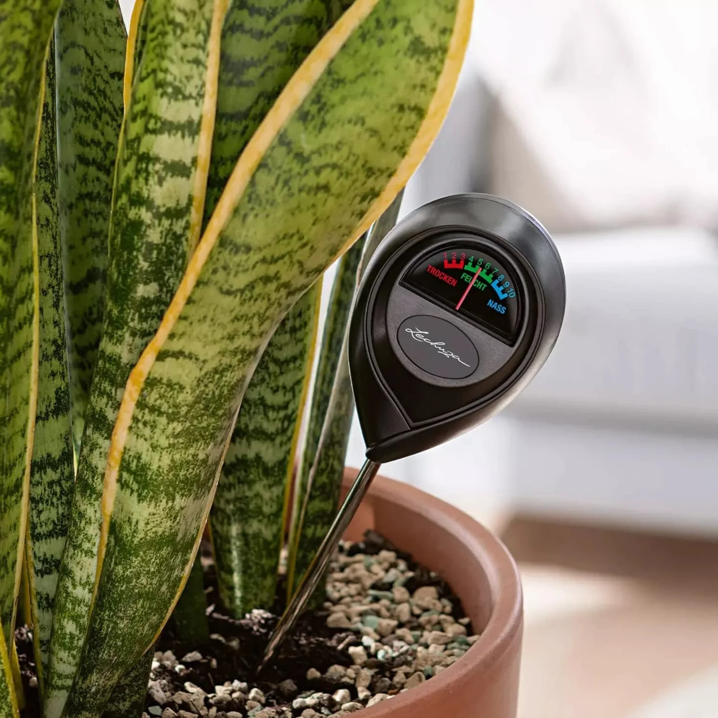 Donica Miernik Wilgotności 19714