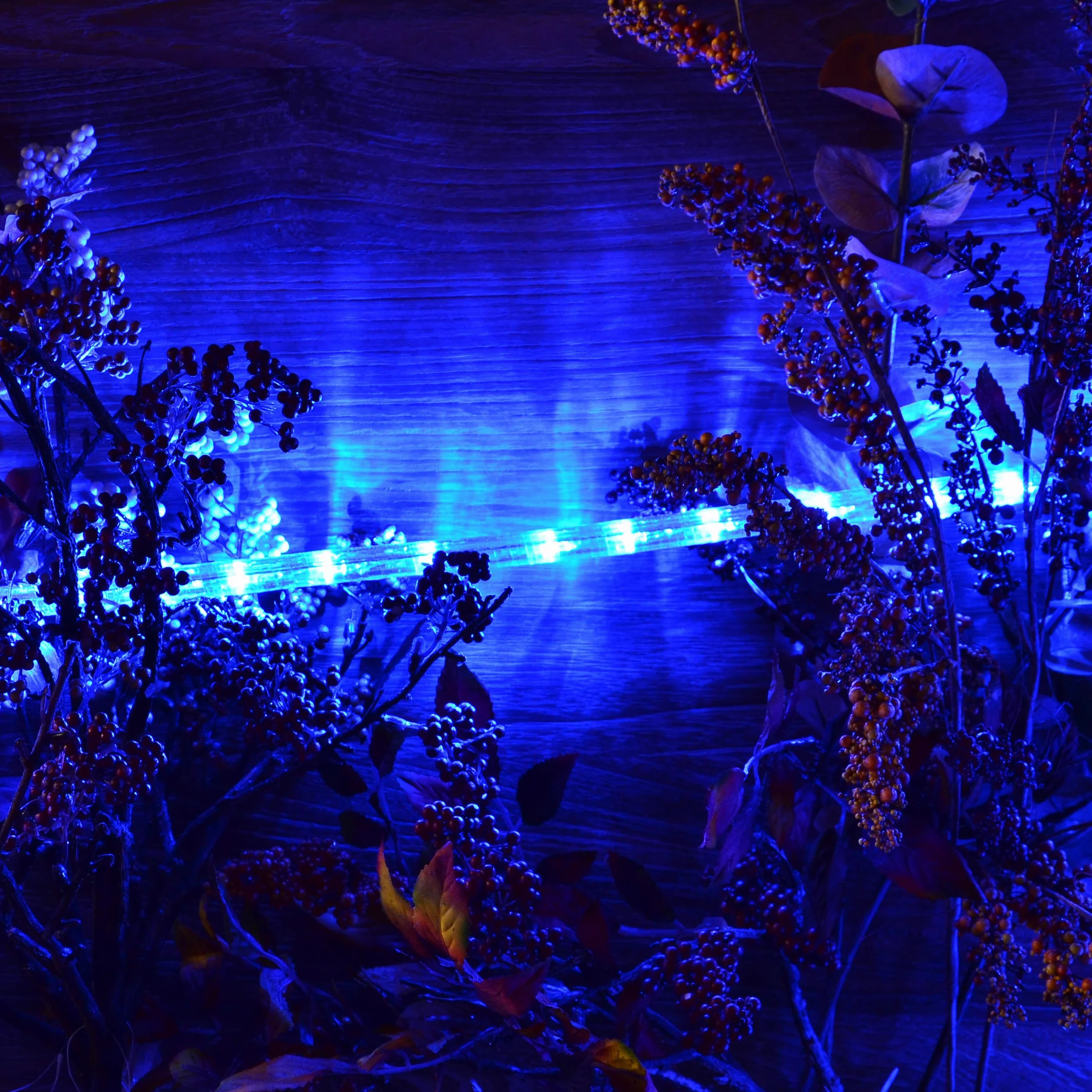 Wąż świetlny LED, 10 m, 240 diod LED, niebieski, do użytku wewnątrz i na zewnątrz, energooszczędna dekoracja do ogrodu, na święta, Boże Narodzenie, wesele, długość całkowita ok. 11,50 m