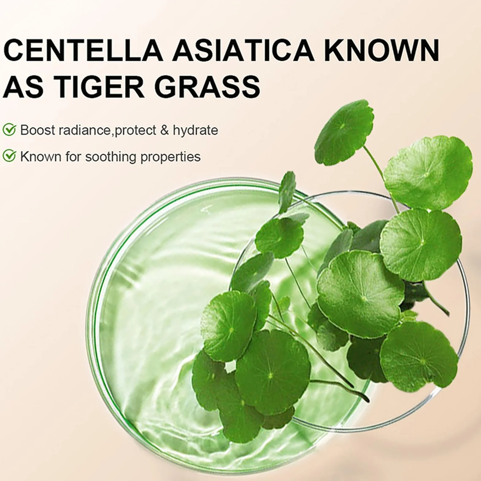 Centella Asiatica CC-Creme, CC Cream Fluid podkład do zakrywania niedoskonałości skóry, LSF 25+, do dostosowania kolorytu skóry, pełne pokrycie, korektor kolorów makijażu