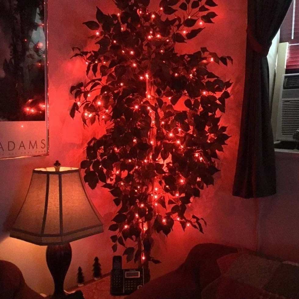 BOLWEO Łańcuch świetlny zasilany bateriami, 3 m, 30 diod LED, czerwony, oświetlenie nastrojowe na Boże Narodzenie, sylwestra, walentynkowe, dekoracja